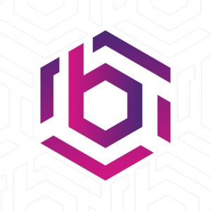 https://seedandspark-static.s3.us-east-2.amazonaws.com/images/User/001/804/251/medium/bho-network.jpg image