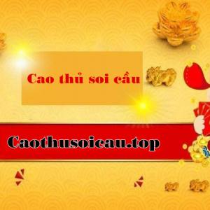https://seedandspark-static.s3.us-east-2.amazonaws.com/images/User/001/805/037/medium/cao-thu-soi-cau-top.jpg image