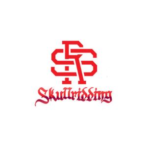 https://seedandspark-static.s3.us-east-2.amazonaws.com/images/User/001/817/968/medium/a%20logo-skullridding.jpg image