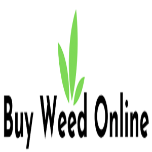 https://seedandspark-static.s3.us-east-2.amazonaws.com/images/User/001/819/201/medium/BF29BAA0-7B50-4054-85F6-9A263792E287-e1657313727210.png image
