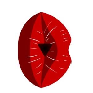 https://seedandspark-static.s3.us-east-2.amazonaws.com/images/User/001/819/974/medium/photo%20-%20Copy.jpg image
