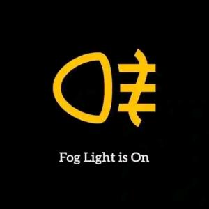 https://seedandspark-static.s3.us-east-2.amazonaws.com/images/User/001/823/370/medium/1667915421304.jpg image
