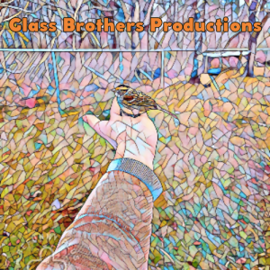 https://seedandspark-static.s3.us-east-2.amazonaws.com/images/User/001/832/667/medium/Glass%20Brothers%20Productions.png image