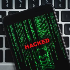 https://seedandspark-static.s3.us-east-2.amazonaws.com/images/User/001/842/838/medium/logo.jpg image