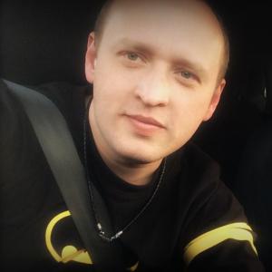 https://seedandspark-static.s3.us-east-2.amazonaws.com/images/User/001/871/539/medium/79832351_102544807919819_3416810611848249344_n.jpg image