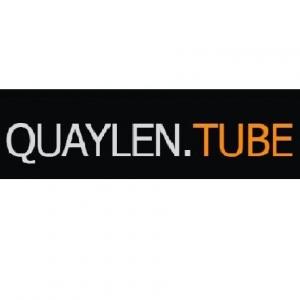 https://seedandspark-static.s3.us-east-2.amazonaws.com/images/User/001/871/585/medium/a%20quaylen%20500.JPG image