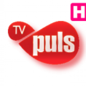 https://seedandspark-static.s3.us-east-2.amazonaws.com/images/User/001/873/001/medium/tv-puls-online.png image