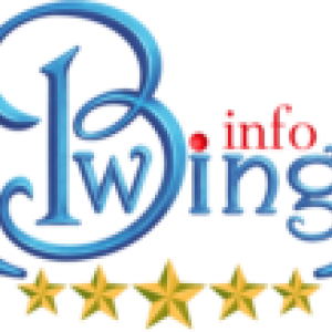 https://seedandspark-static.s3.us-east-2.amazonaws.com/images/User/001/879/452/medium/Bwinginfo-300x109-1.png image