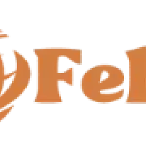 https://seedandspark-static.s3.us-east-2.amazonaws.com/images/User/001/888/637/medium/fello_best-1.webp image