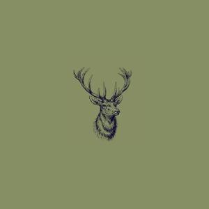 https://seedandspark-static.s3.us-east-2.amazonaws.com/images/User/001/893/084/medium/Cervidae%20logo.jpg image