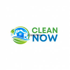 https://seedandspark-static.s3.us-east-2.amazonaws.com/images/User/001/968/552/medium/CleanNow%20Squre%20Logo.png image