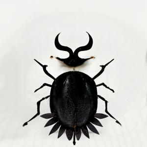 https://seedandspark-static.s3.us-east-2.amazonaws.com/images/User/001/979/303/medium/ea8cce7d71d1bbbf.jpg image