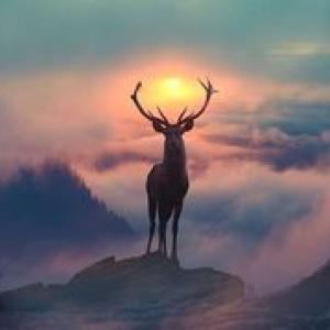 https://seedandspark-static.s3.us-east-2.amazonaws.com/images/User/002/001/833/medium/49eb1b289352fcfb.jpg image