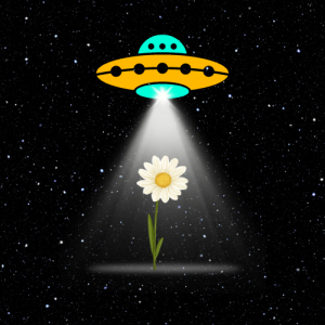 https://seedandspark-static.s3.us-east-2.amazonaws.com/images/User/002/008/331/medium/0856b251edf7c89e.png image