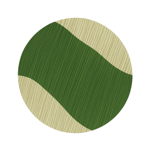 https://seedandspark-static.s3.us-east-2.amazonaws.com/images/User/002/310/006/medium/70df91c316b36d33.png image