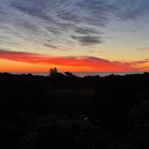 https://seedandspark-static.s3.us-east-2.amazonaws.com/images/User/002/358/538/medium/5fe67c4f6136c74b.jpg image