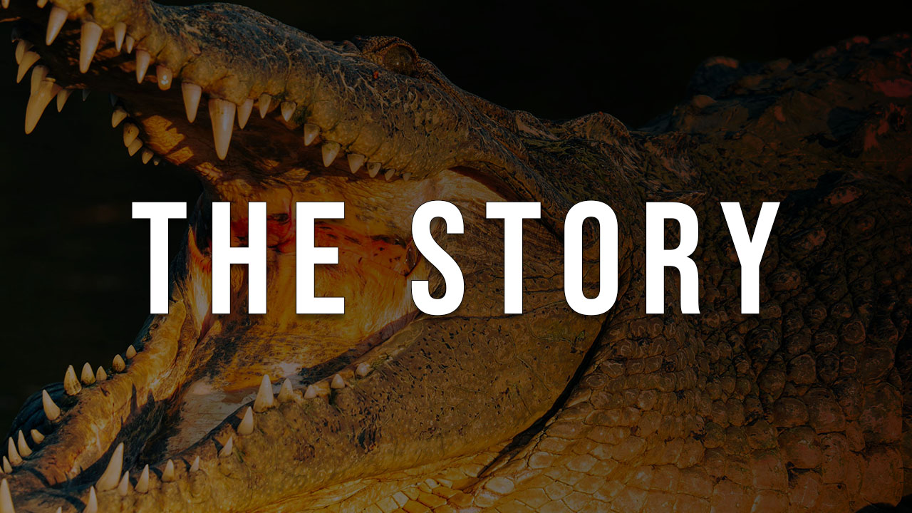 King of the Everglades: The Croczilla Dynasty - Film and Storytelling ...