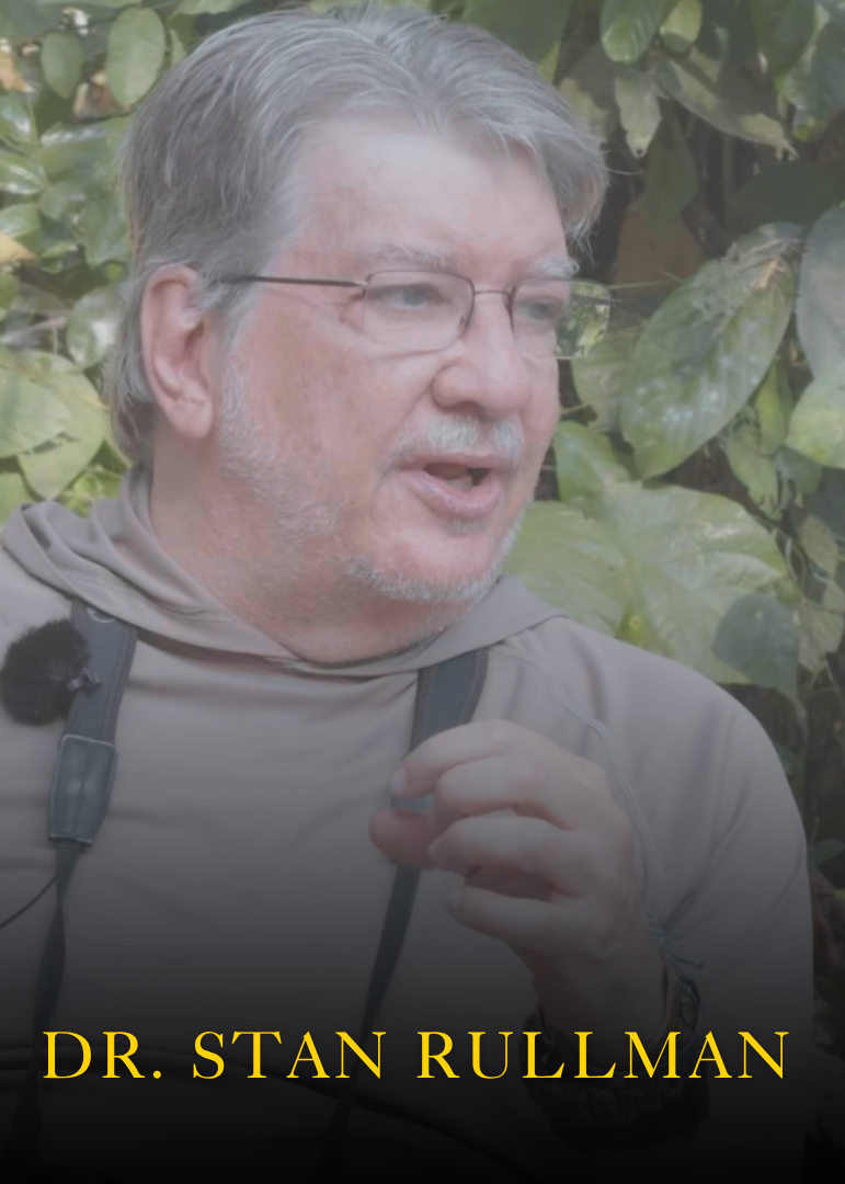 In Jane's Footsteps: The Hopeful Path to Gombe (working title) - Film ...